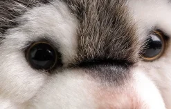 New La compagnie de la peluche Peluche loup petit et mignon