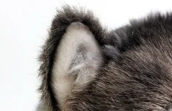 New La compagnie de la peluche Peluche loup petit et mignon