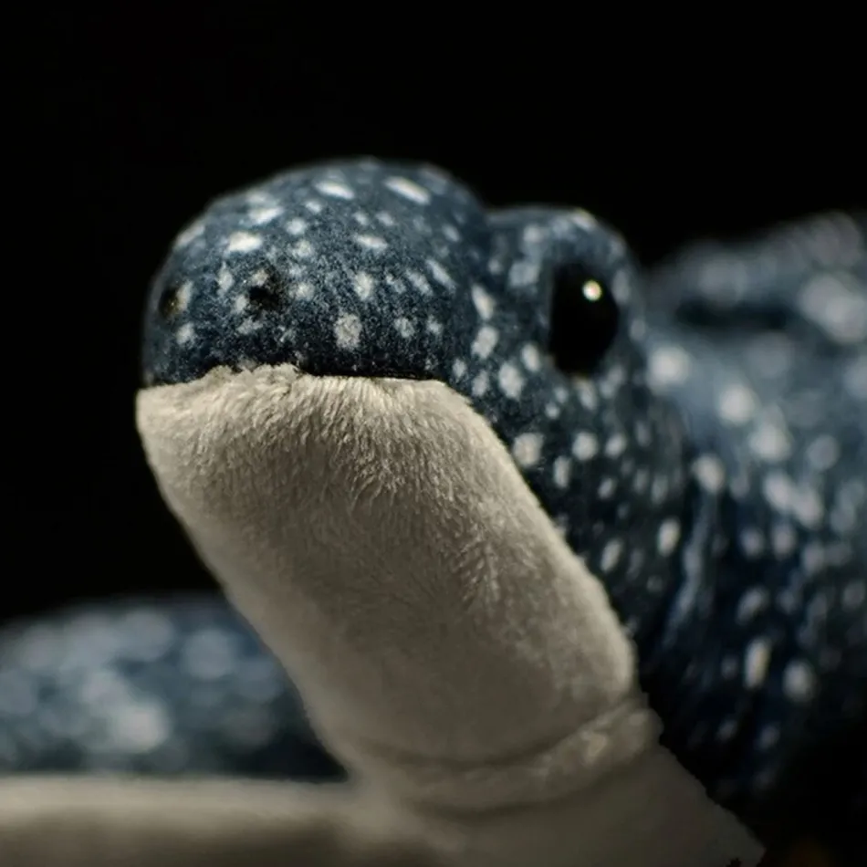 Clearance La compagnie de la peluche Peluche tortue réaliste